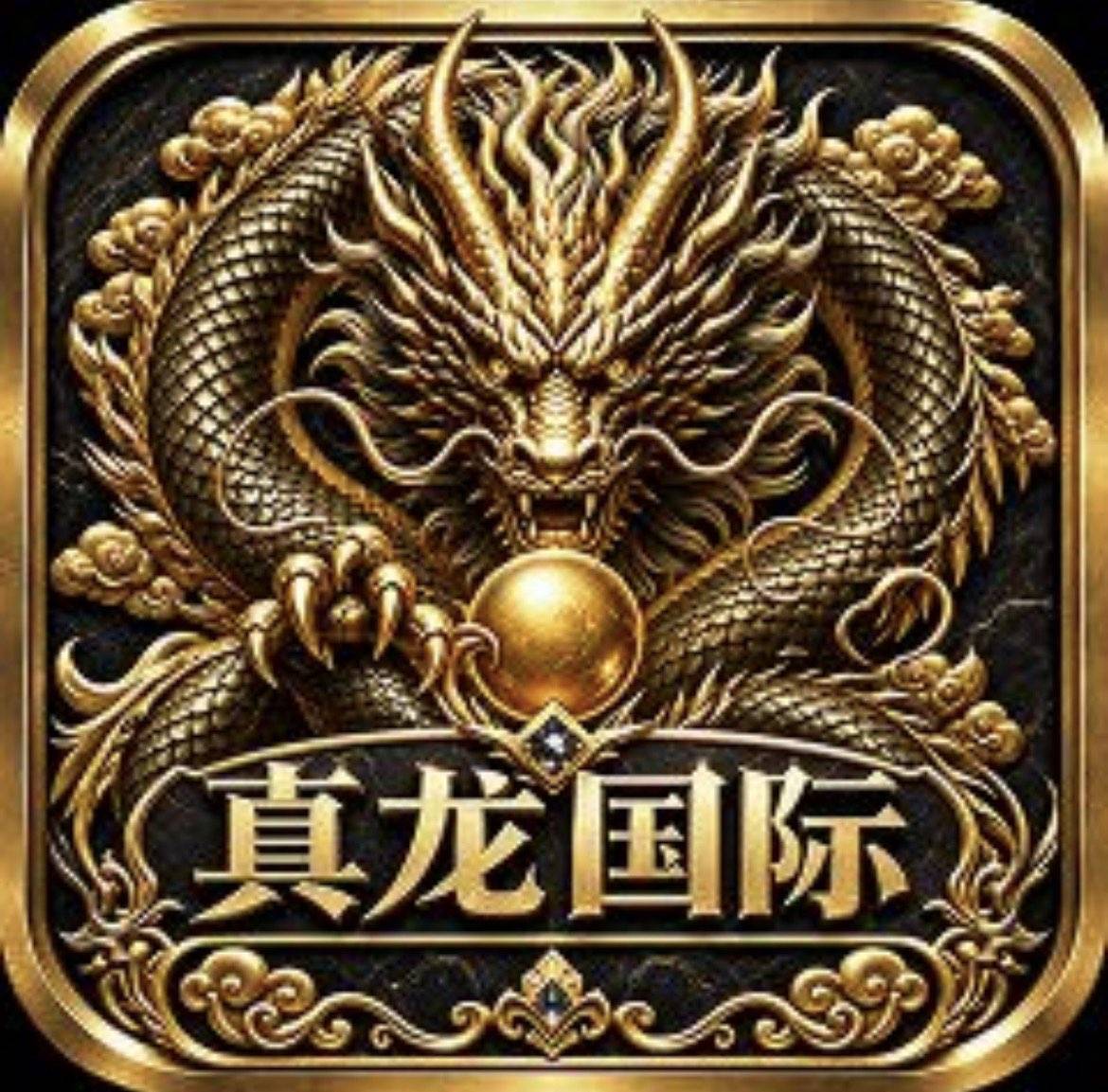 真龙国际